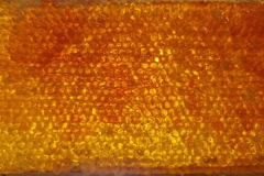 20240720_165309